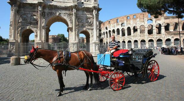 Roma, stop al nuovo regolamente sulle botticelle: consiglio di stato dice no al trasferimento nelle ville storiche