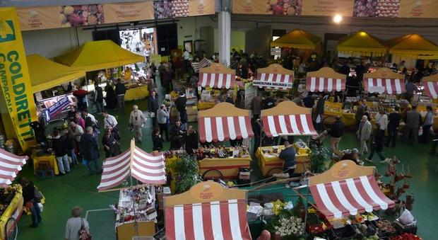 Torna al Circo Massimo da venerdì 6 ottobre il mercato biologico degli agricoltori. Spazio ai commercianti colpiti dal terremoto