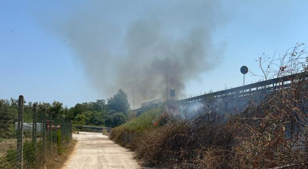 Incendio a ridosso della Teramo-Mare: i vigili del fuoco scongiurano la chiusura della strada
