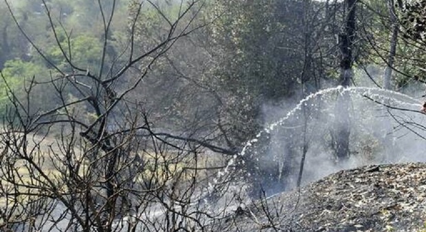 Incendi: chiuse due materne, boschi in fiamme e un capannone distrutto: così brucia anche l'hinterland