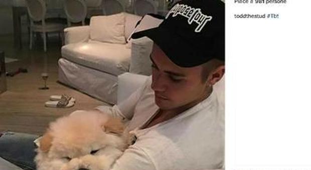 "È malato", Justin Bieber abbandona il suo cane. Fan indignati