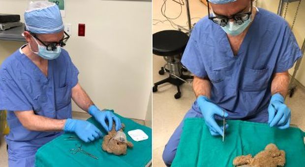 «Puoi operare l'orsacchiotto prima di me?»: chirurgo interviene sul peluche del piccolo paziente
