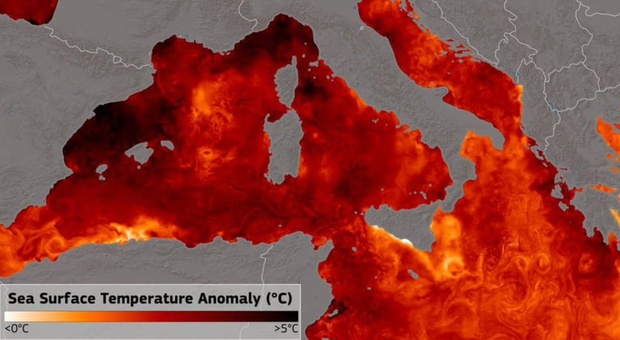 Mediterraneo bollente: «4 gradi sopra la media stagionale». Ecco perché è una pessima notizia