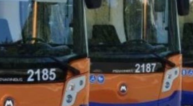 Palermo, urtato da un autobus diventa una furia: 39enne sale a bordo e picchia l'autista
