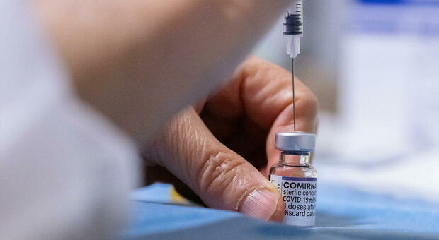 Covid, in arrivo i nuovi vaccini aggiornati contro Omicron. Speranza: «Prime forniture entro 10 giorni»