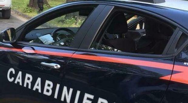 Prof in pensione uccisa in casa nel Bolognese con un colpo di fucile: perquisito un vicino