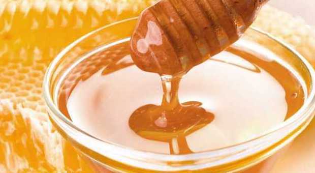Un cucchiaino di miele al giorno per dimagrire: è un toccasana. Ecco quando mangiarlo -LEGGI