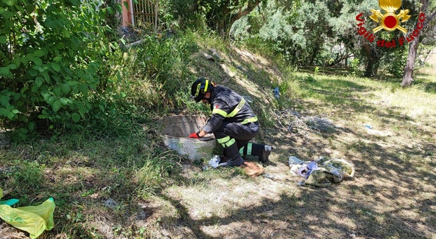 Bimba di 7 anni cade in un pozzo di 15 metri: salvata dai vigili del fuoco