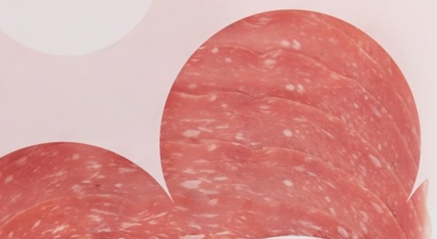 Conad, rischio salmonella: salame Golfetta ritirato dal mercato. Il lotto interessato