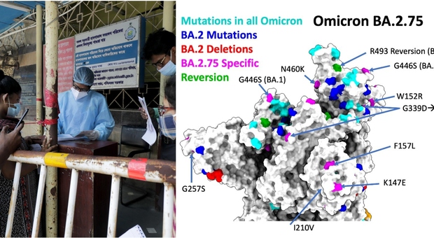 Omicron, nuova super variante (BA.2.75) in India. «Nove mutazioni»