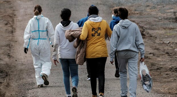 Migranti aggrediscono autista del bus e fuggono: ferito un carabiniere, caccia al gruppo