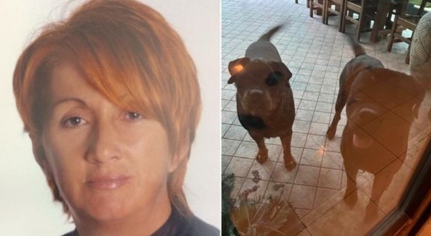 Donna morta sbranata dai suoi due cani nel Modenese il giorno di Natale