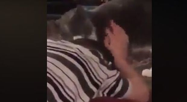 Il ragazzo autistico ha una crisi, il suo gattino riesce a calmarlo: il video fa il giro del web