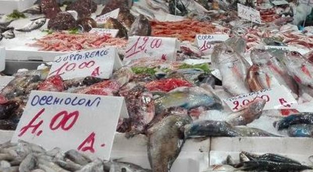Fermo pesca in Adriatico, Coldiretti: "Ecco cosa scegliere in pescheria"