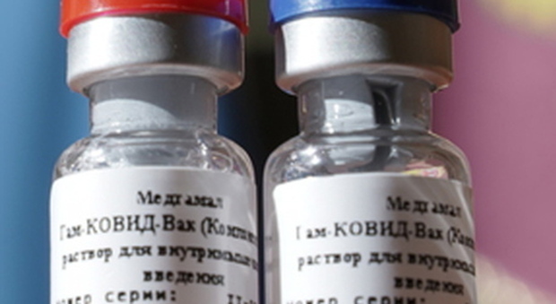 Vaccino Covid, la Russia chiede l'approvazione all'Oms: ecco quali sono gli effetti collaterali
