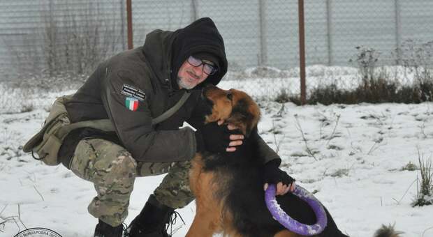 Ucraina, consegnati gli aiuti al rifugio di Andrea Cisternino: «Cibo e farmaci per gli animali»
