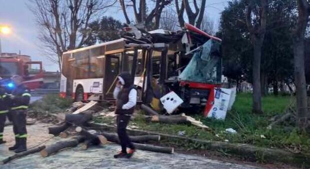 Incidente choc all'alba, bus si schianta sulla rotonda e sradica gli alberi: il mezzo distrutto