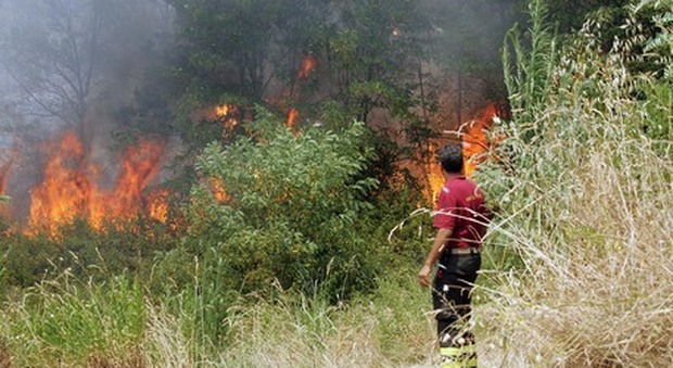 Incendi in Calabria, 78enne muore nel tentativo di spegnere un rogo
