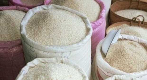 La truffa del riso bio: sequestrate 3.800 tonnellate trattate con diserbanti vietati