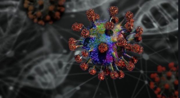 Tumori, Pechino studia un virus in grado di ucciderli: al via la sperimentazione