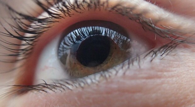 Covid, un gel oftalmico dal Gemelli per proteggere gli occhi dal virus