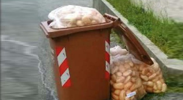 Pane, pasta e alimenti: nella spazzatura il cibo dei profughi in hotel