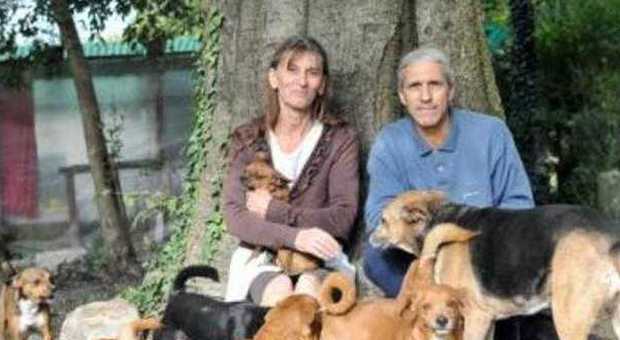 Carmelo e Maria Loretta, sfrattati da casa dove vivevano con i loro 30 cani e 20 gatti