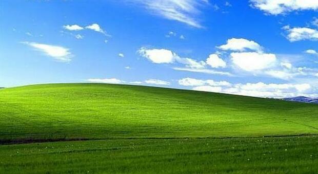 La celebre collina sfondo di Windows 25 anni dopo: il paesaggio oggi è radicalmente cambiato