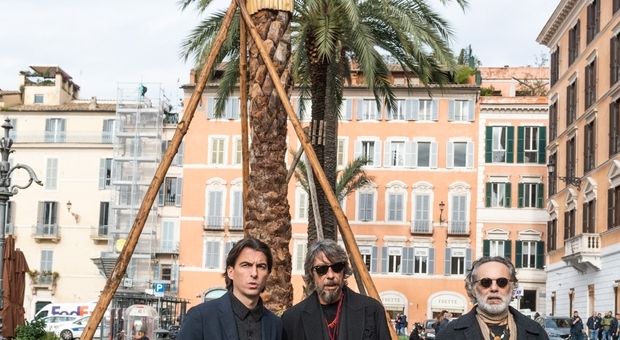 Due nuove palme a piazza di Spagna: è il regalo della maison Valentino per sostituire le vecchie piante rovinate