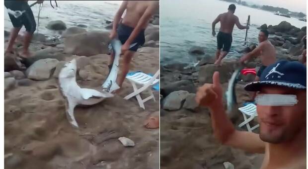Squalo si avvicina alla riva, catturato dai bagnanti e lasciato morire: il video choc