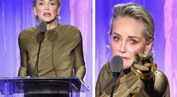 Sharon Stone, lacrime all'evento di beneficenza: «Ho perso la metà dei miei soldi»