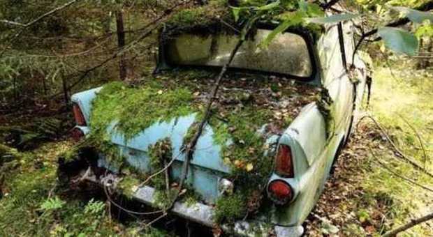 Abbandonò la sua prima auto nel bosco, ​la ritrova dopo 40 anni coperta di muschio