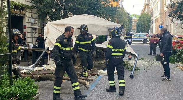 Roma, paura a Prati: crolla un albero davanti un locale, «tragedia sfiorata». Clienti salvati dal gazebo