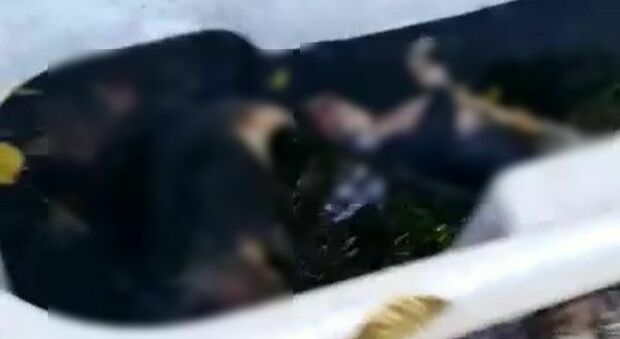 Cuccioli di cane strangolati e gettati in una vasca: la scoperta choc in Abruzzo, caccia ai responsabili