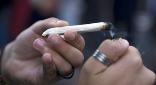 Professoressa fuma cannabis con gli studenti minorenni, l'accusa choc di un alunno: «Mi ha offerto anche la cocaina»