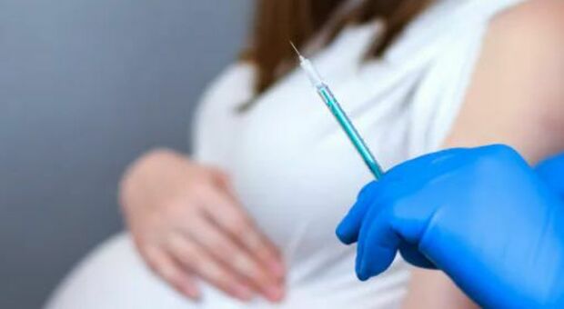 Medico rifiuta di vaccinare una donna incinta: «Non mi prendo la responsabilità». L'Ordine insorge: «Assurdo»