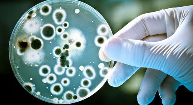 Allarme super batteri resistenti ai farmaci, metropolitana invasa: «Impossibile limitarne la diffusione»