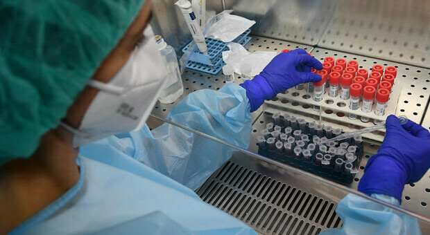Covid, l'Aifa lancia l'allarme sul farmaco illegale ma usato come vaccino anti covid