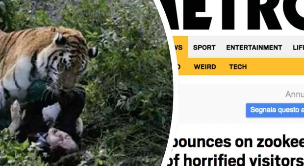 Tigre siberiana attacca e sbrana addetta dello zoo: "La donna gli stava portando da mangiare"