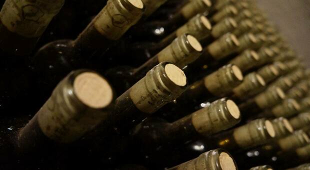 Rubato un tir carico di Amarone: sparite 9mila bottiglie di vino, valore 315 mila euro