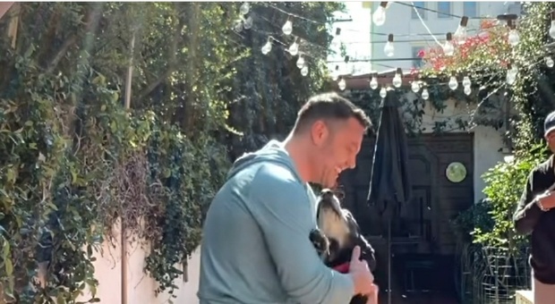 Tiziano Ferro adotta Gianni un cane di 8 anni: «Era nella lista “eutanasia” di un brutto canile» VIDEO