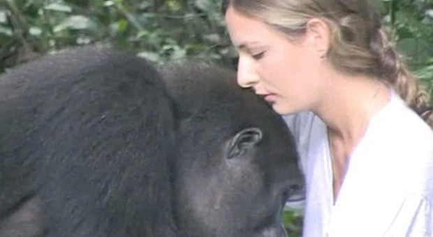 Il gorilla ritrova la padroncina dopo 12 anni: ​il commovente incontro tra Tansy e Djalta