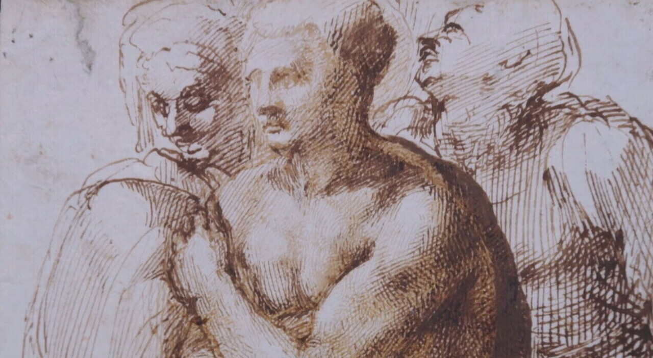 Michelangelo, il disegno del giovane nudo venduto all'asta per una cifra record: oltre 23 milioni di euro