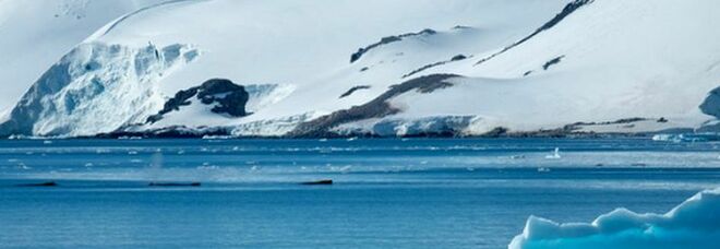 Microplastiche ritrovate nella neve fresca in Antartide: «Preoccupante spia per la salute dei ghiacciai»