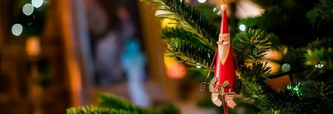 Oggi mercoledì 8 dicembre 2021 Barbanera consiglia: nella festa dell'Immacolata arriva l'albero di Natale