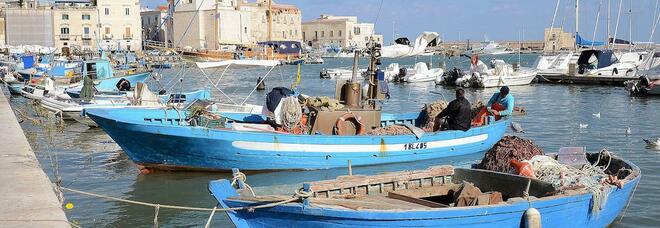 Trani, Bitonto, Molfetta e Bisceglie, da vedere e da mangiare: un tour lungo la costa nord di Bari