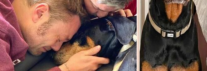 Tiziano Ferro disperato: morto il suo cane Jake. L'addio social straziante