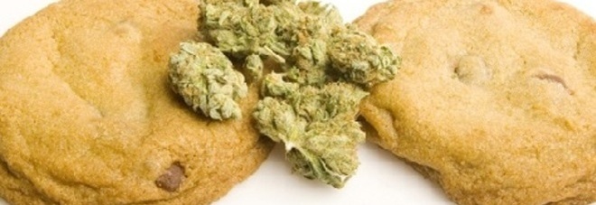 Mangiano biscotti alla marijuana fatti in casa: sei giovani intossicati