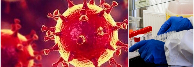Omicron, ecco come il virus costruisce la sua «tana» nell'organismo