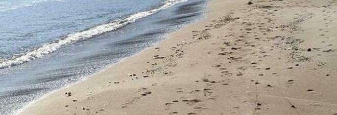 Ritrovamento choc: un cadavere in spiaggia, è giallo sulla vittima